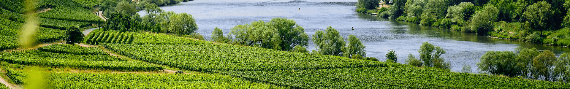 Domaine Yannick Amirault