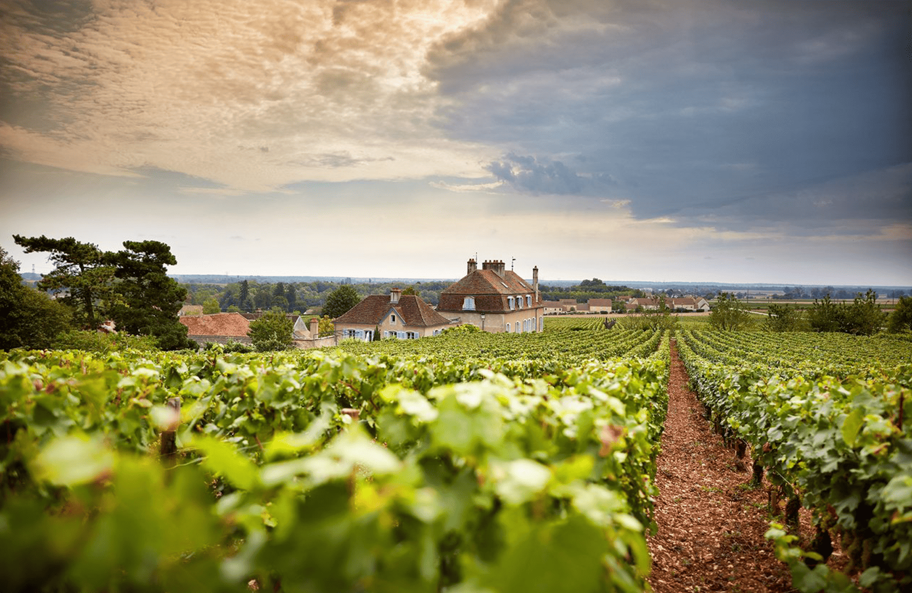 Domaine de l'Arlot