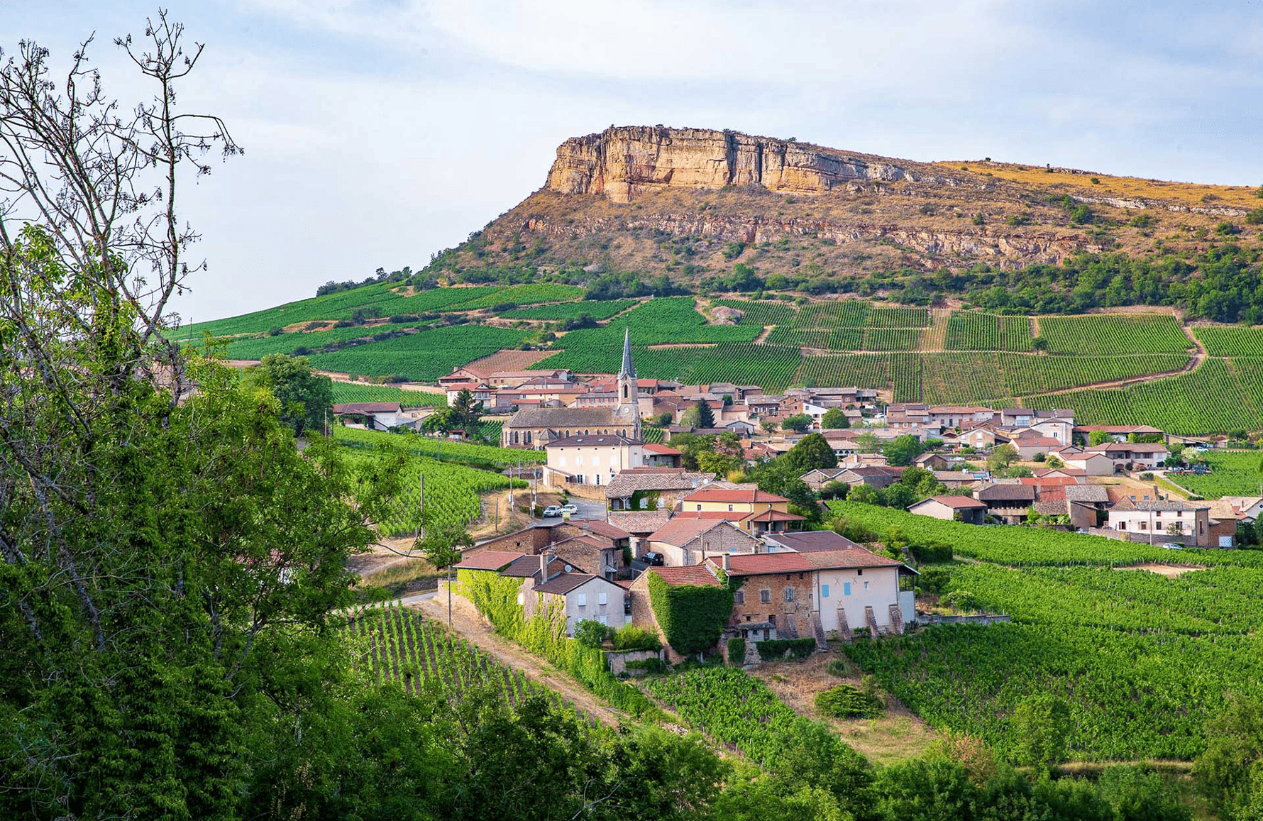 Domaine Guffens-Heynen