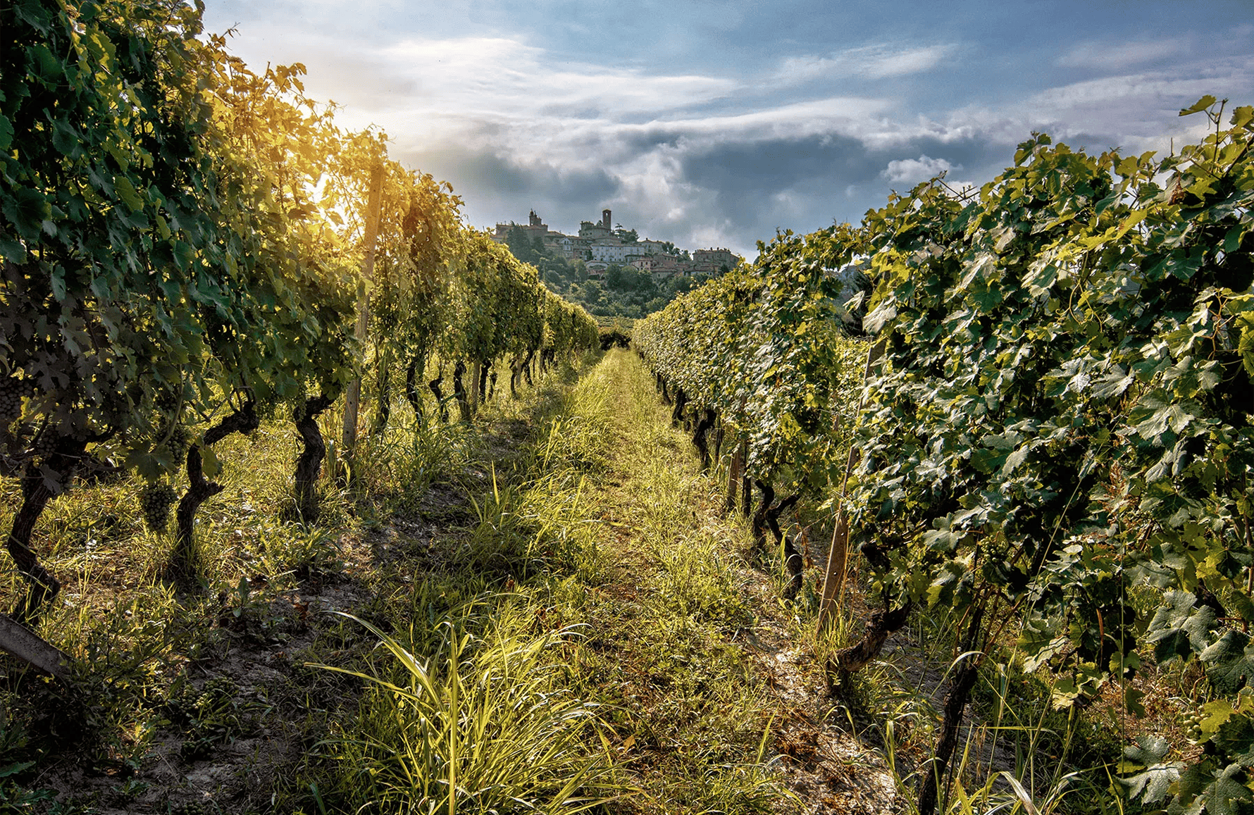 La Spinetta - Italie