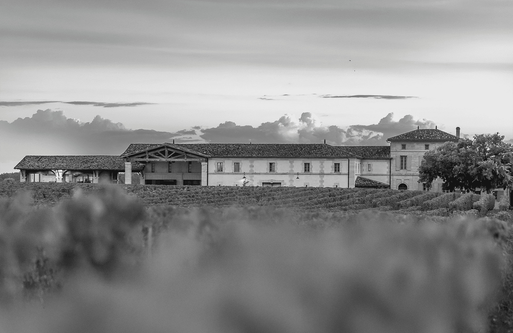 l’histoire du Château Lafleur