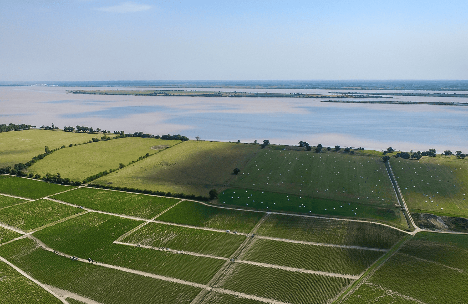 Vins Château Léoville Las Cases