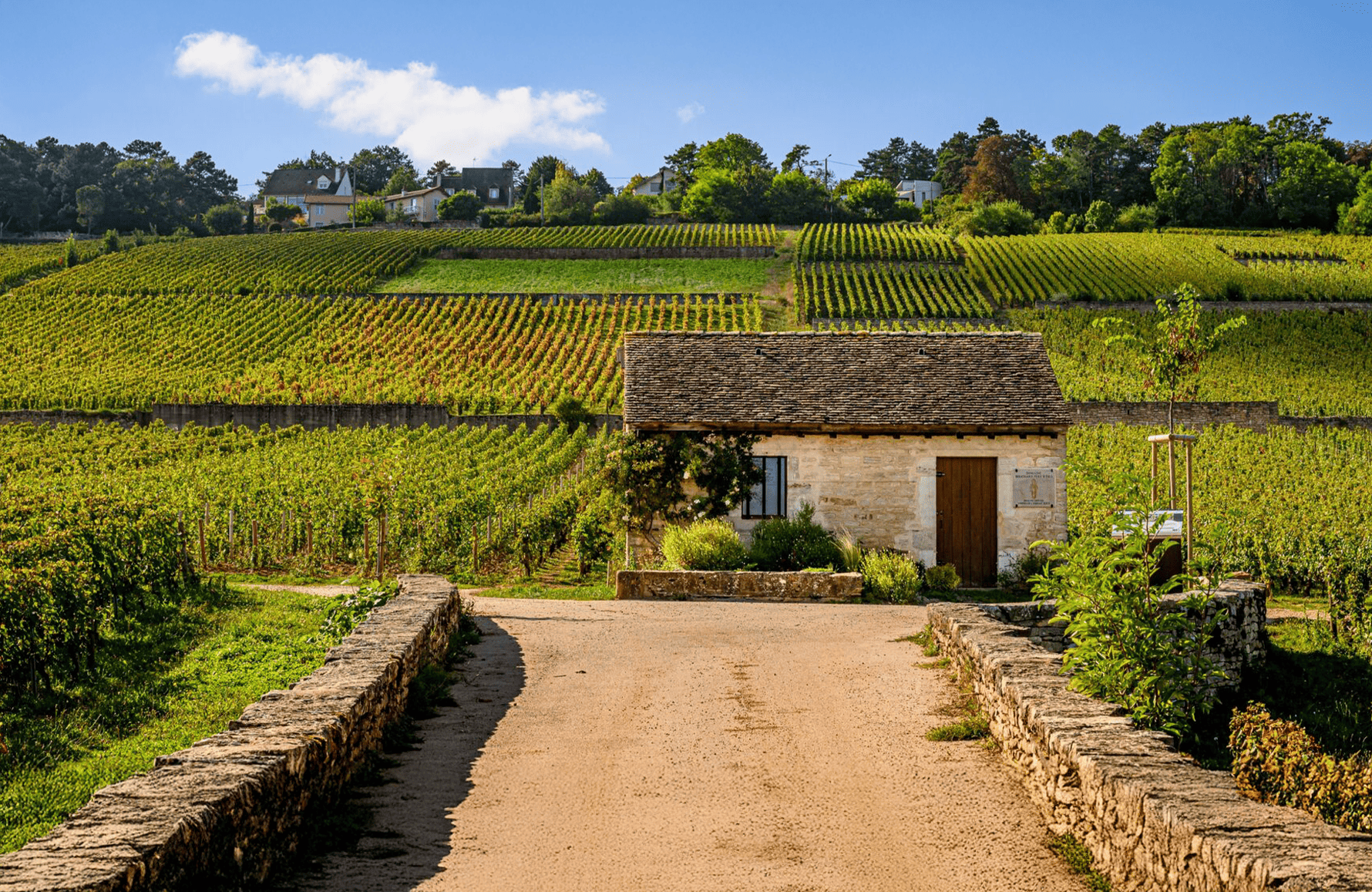 Vins Domaine Bouchard Père et Fils