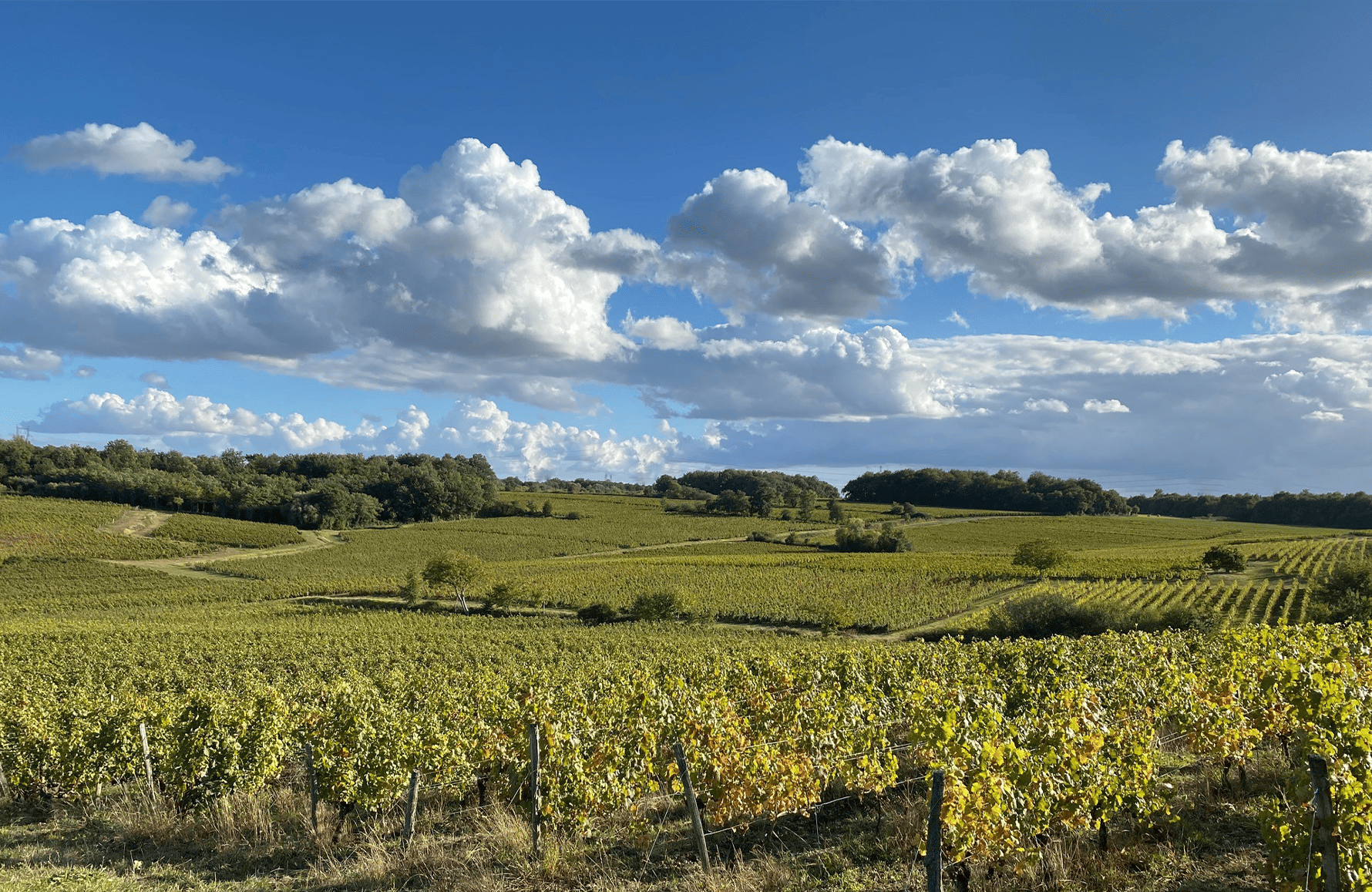 the story of Domaine des Closiers