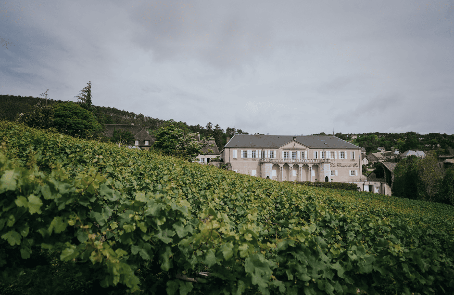 Domaine de La Pousse d'Or