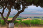 Hahn Family Wines - United States