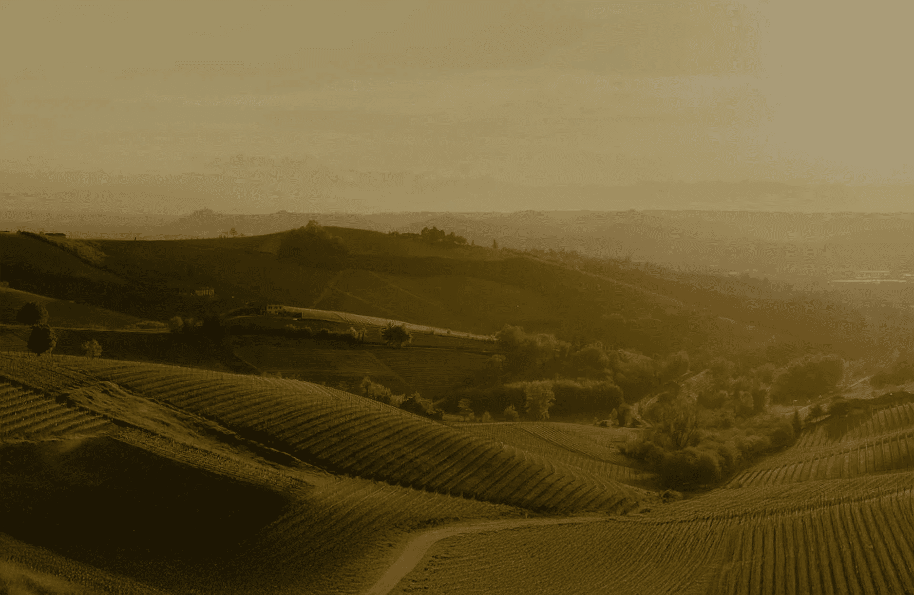 Cascina delle Rose - Italie