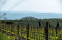 Poggio Antico - Italy
