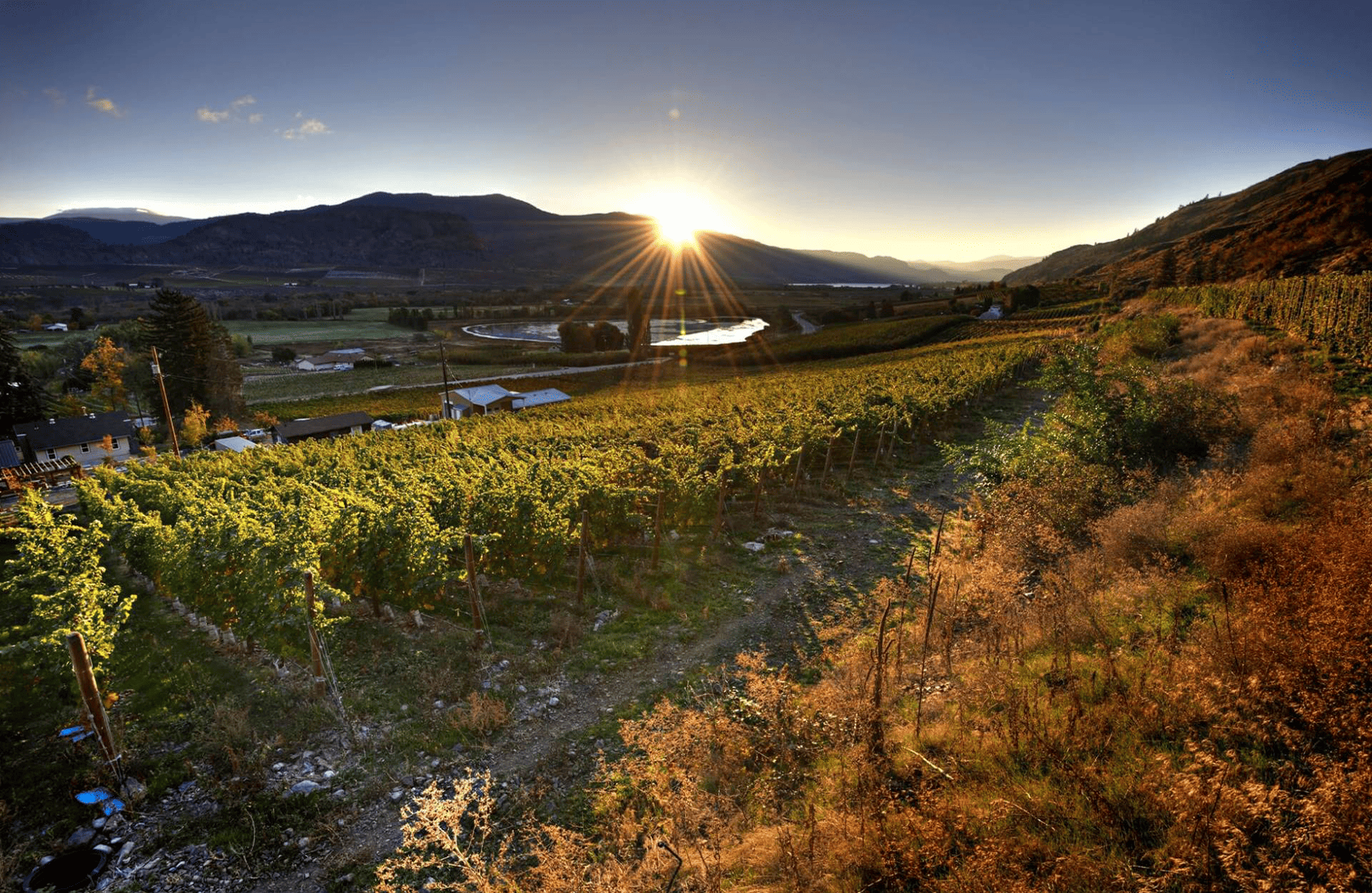 Maverick Wines - Australie