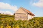 Champagne Louis Roederer