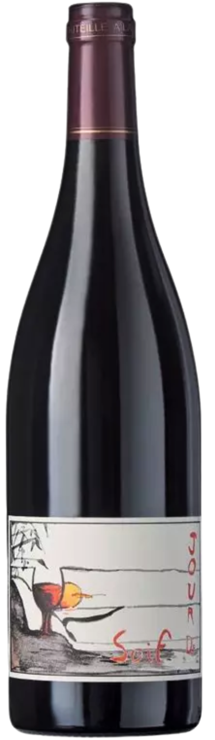Domaine du Bel Air - Bourgueil - Jour de Soif 2022
