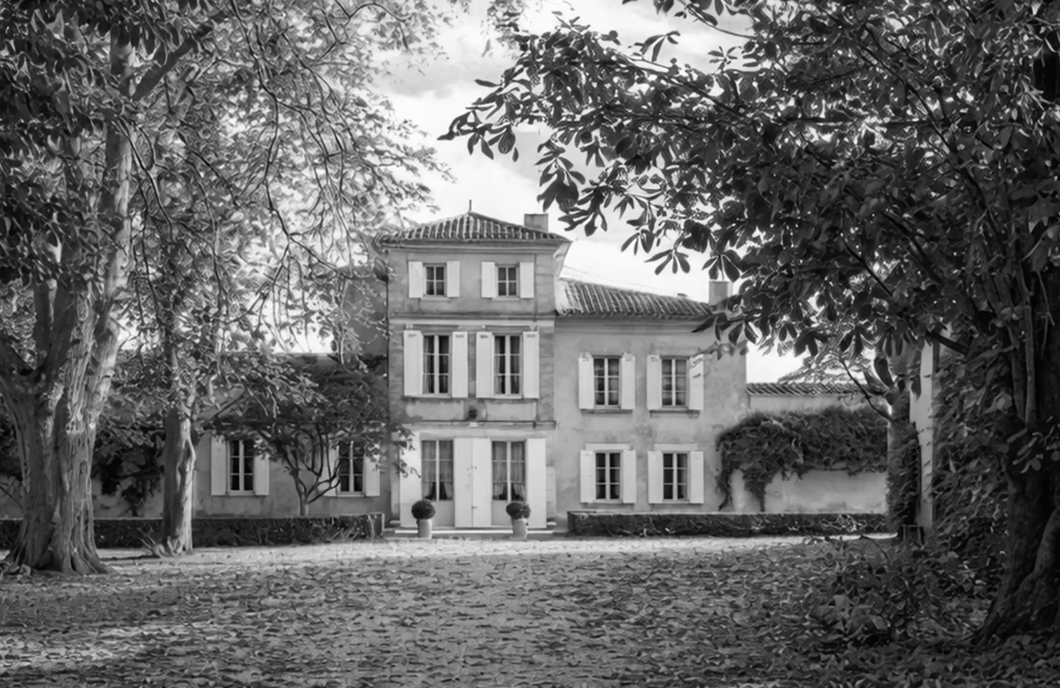 the story of Château Fonroque