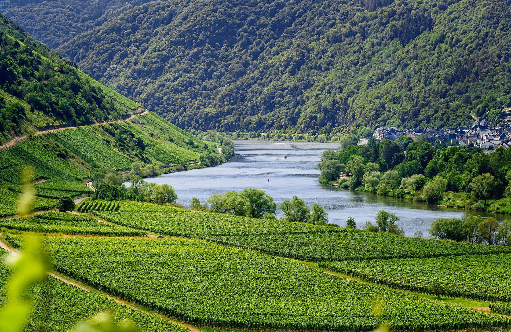 Vins Domaine Patrick Baudouin