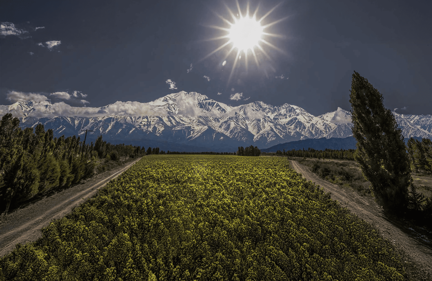 Vins Catena Zapata - Argentine