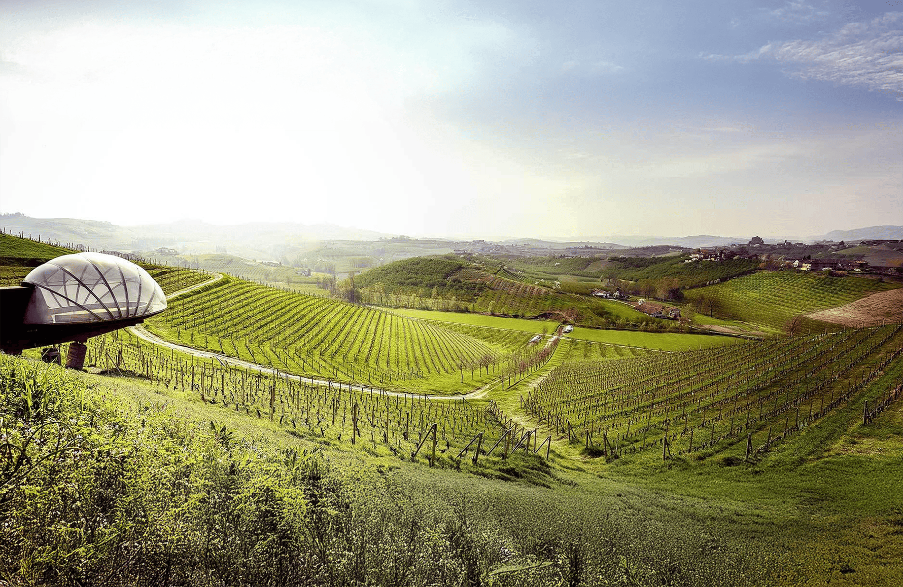 Vins Ceretto - Italie