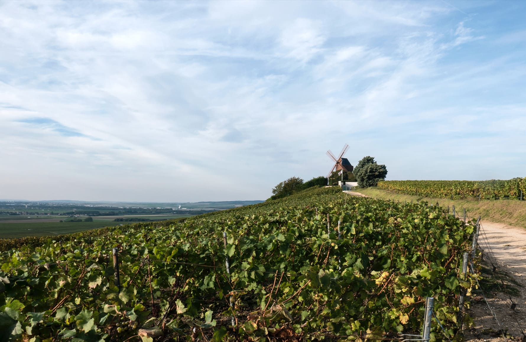 Vins Champagne L&S Cheurlin