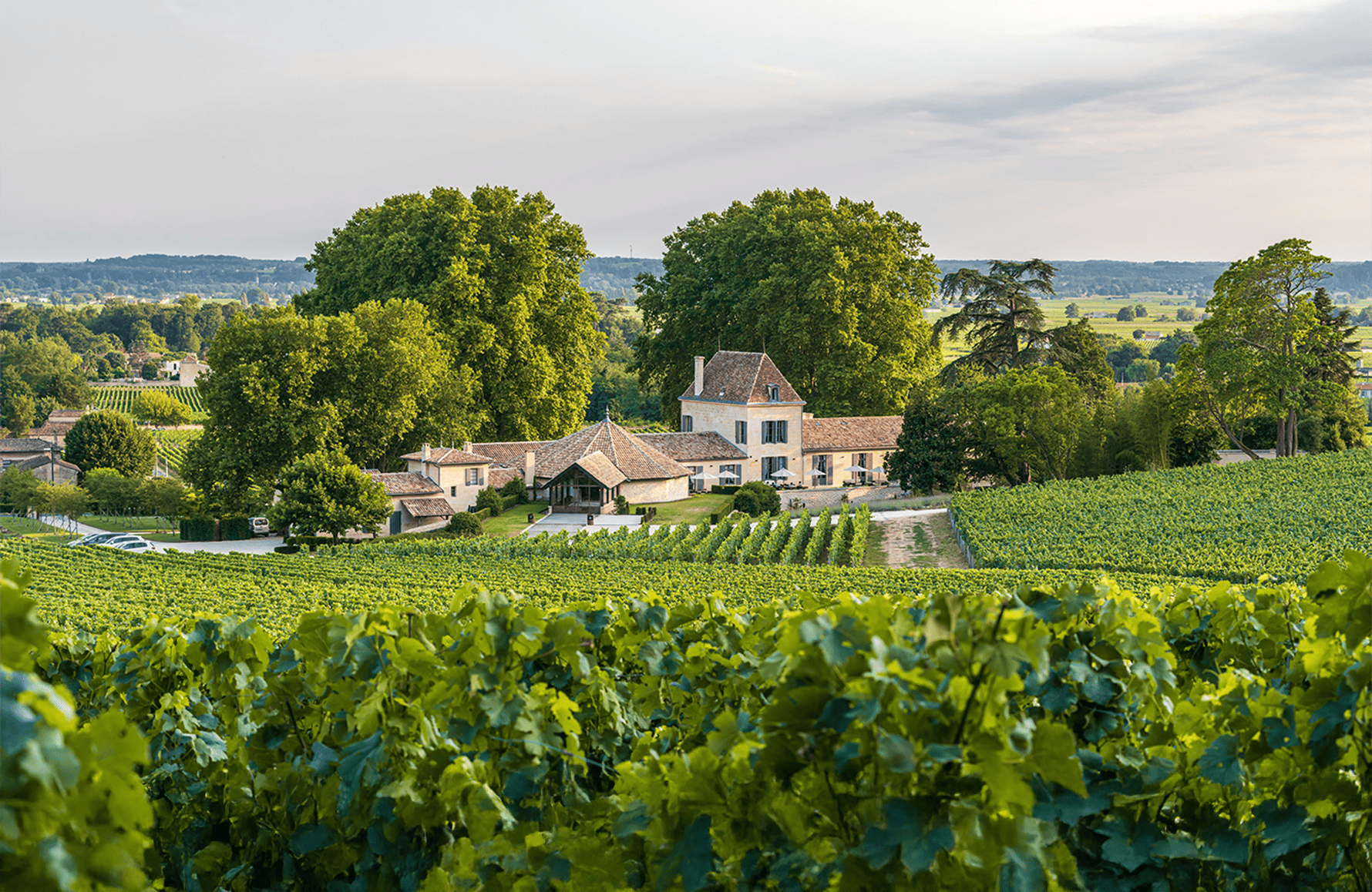 Vins Château Bellefont-Belcier