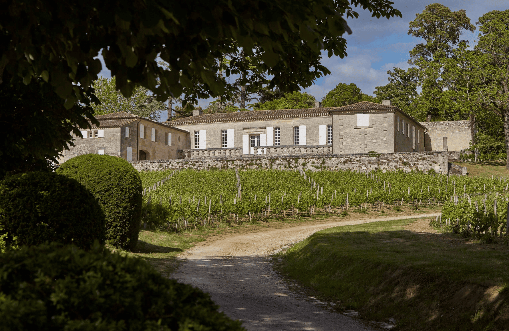 Vins Château Bellevue