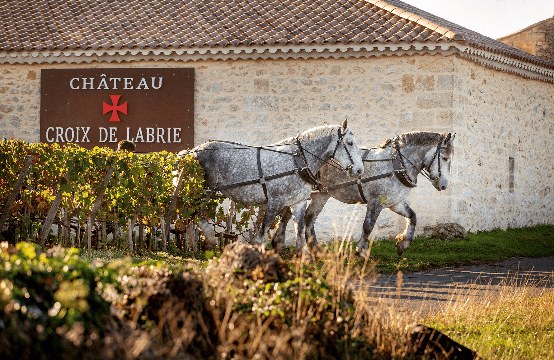Vins Château Croix de Labrie