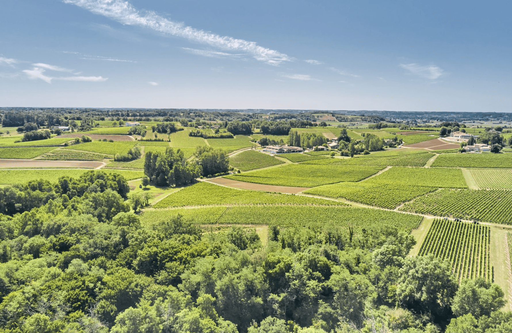 Vins Château Fleur Cardinale