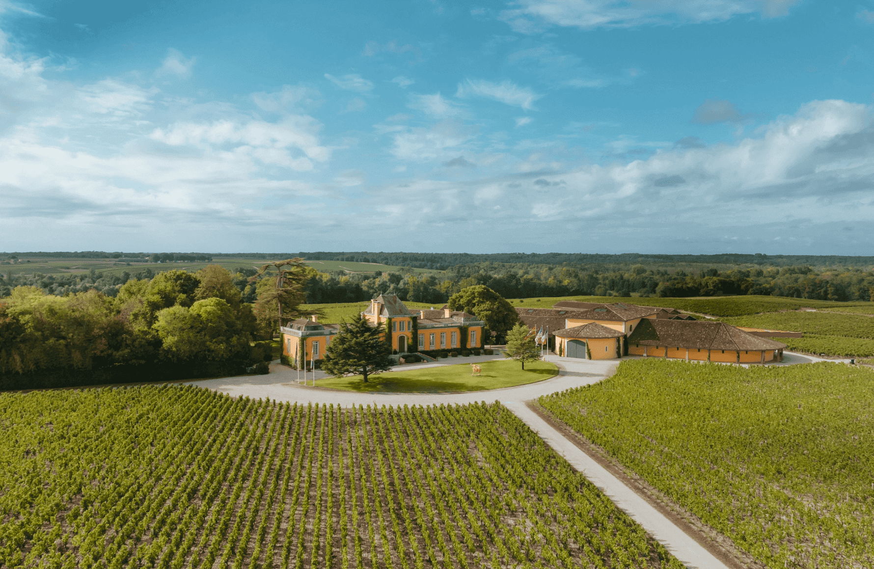 Vins Château Lafon-Rochet