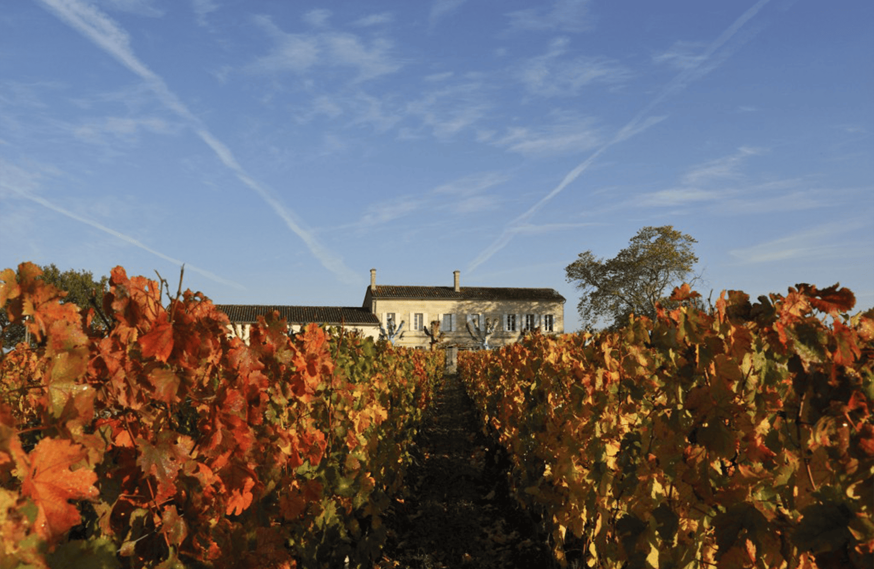 Vins Château l'Eglise-Clinet