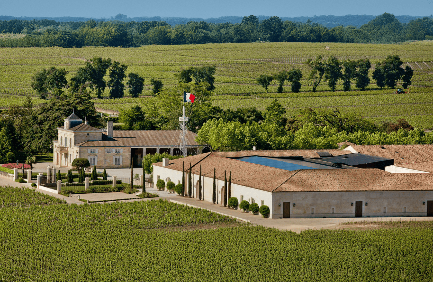 Vins Château Montrose