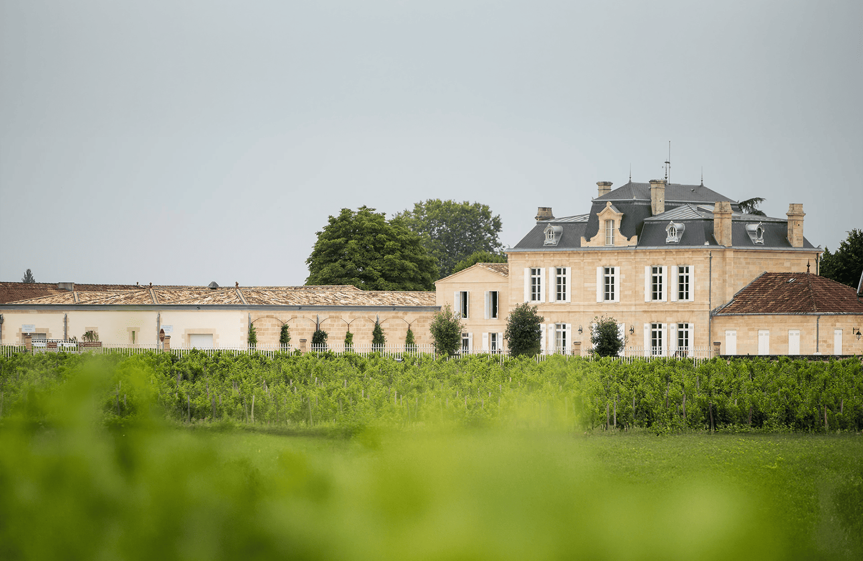 Vins Château Nénin