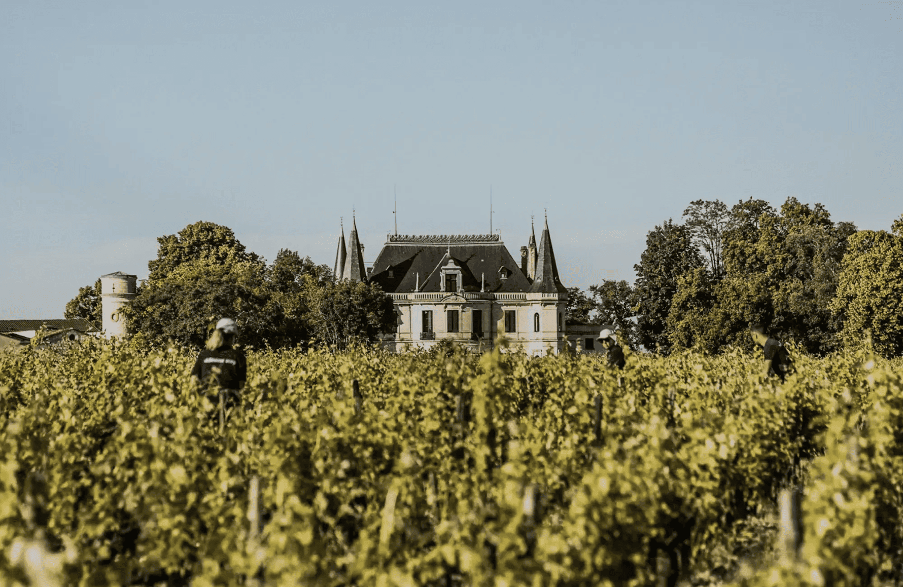 Vins Château Palmer