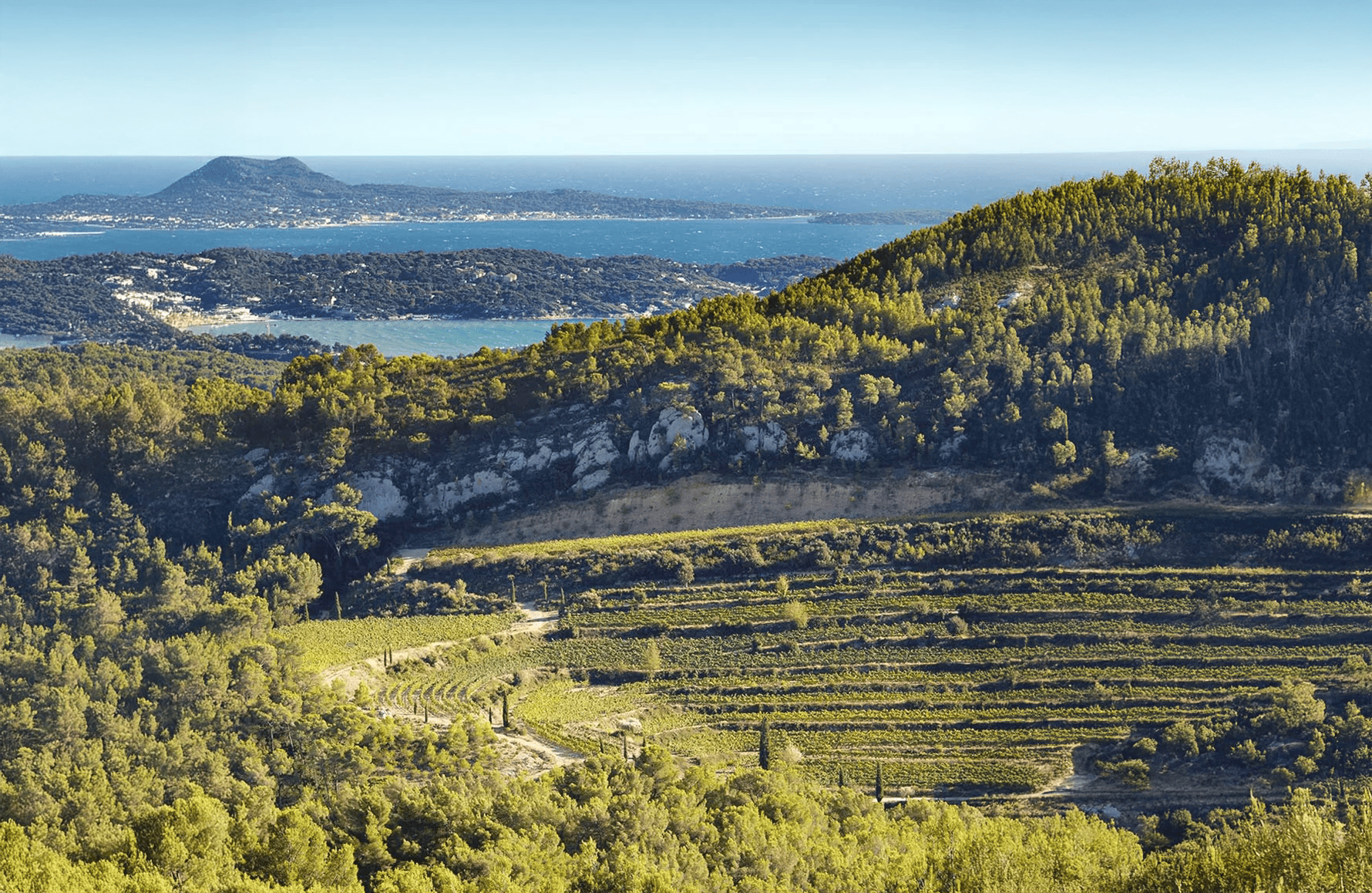 Vins Château de Pibarnon