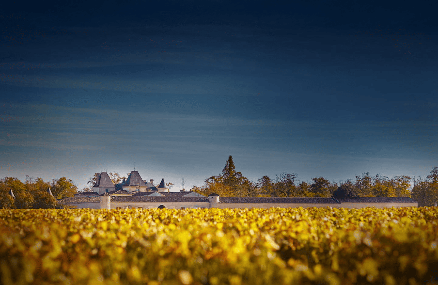 Vins Château Suduiraut