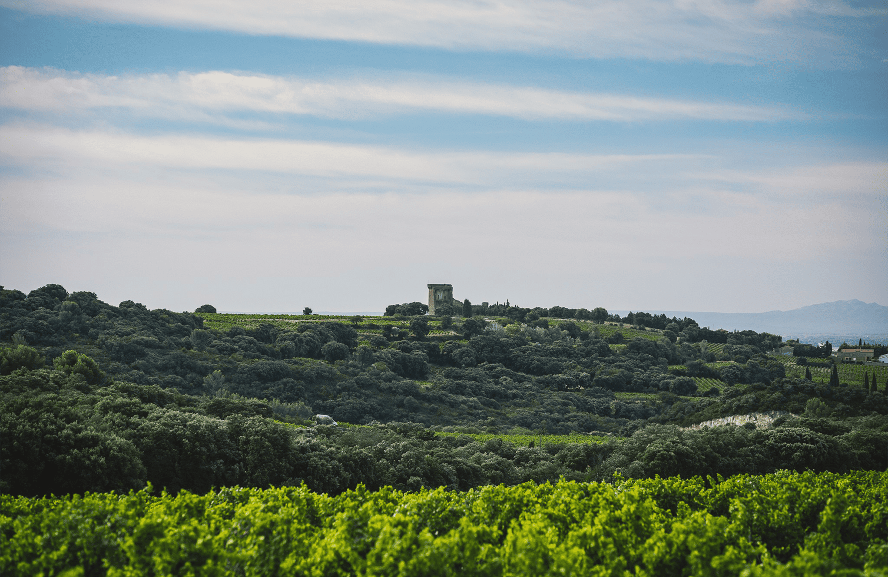 Vins Clos Saint-Jean