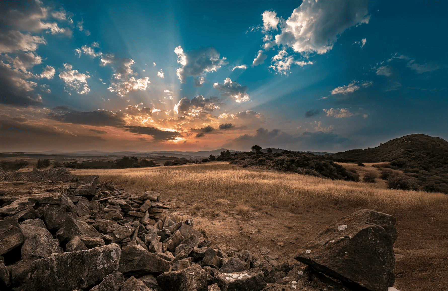 Vins Domaine Anne Gros et Jean-Paul Tollot