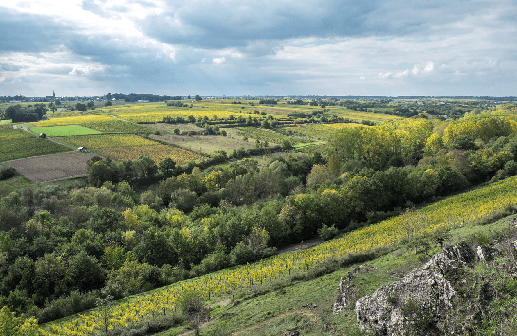 the story of Belargus Estate