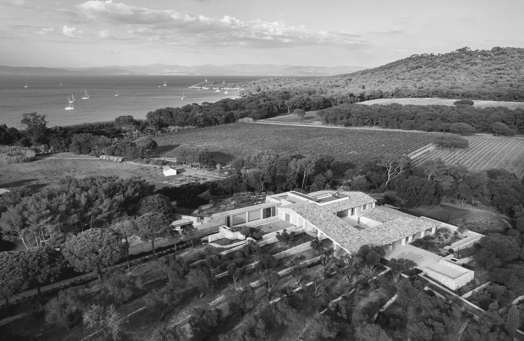 Vins Domaine De La Courtade