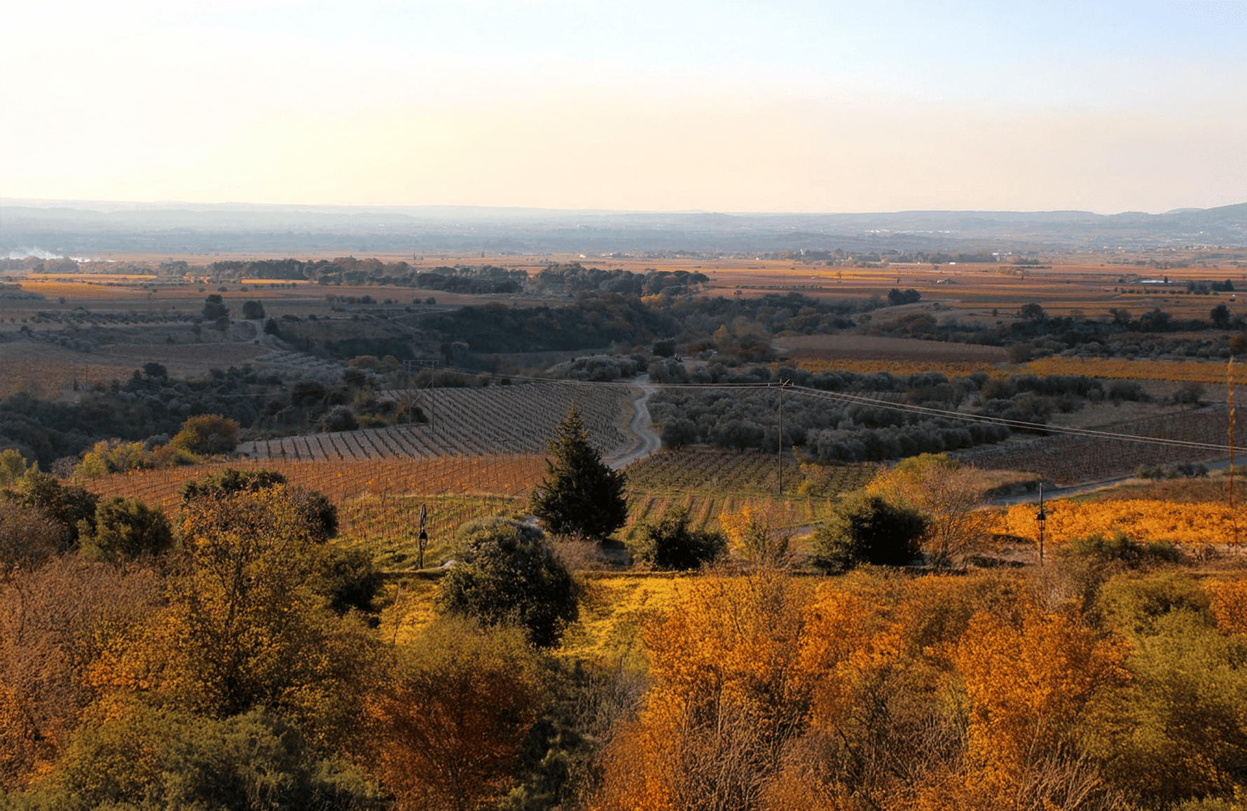 l’histoire du Domaine de la Réserve d'O