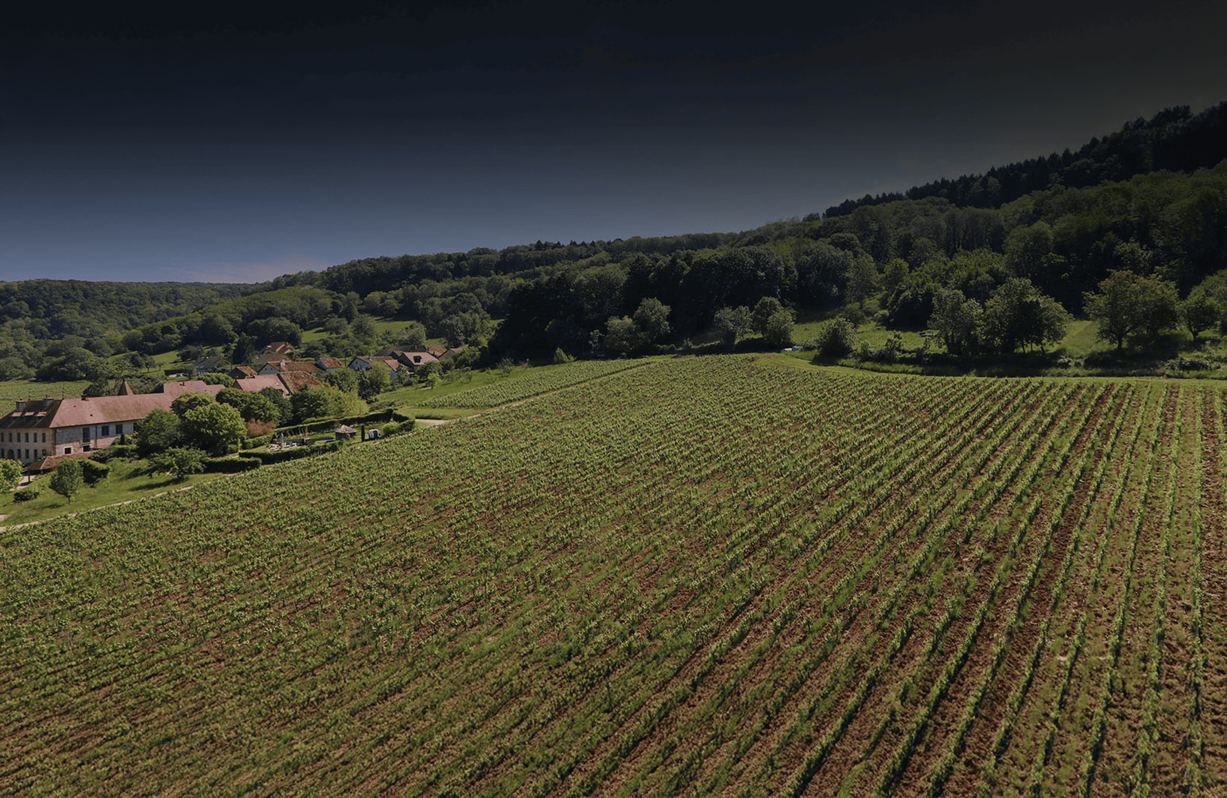 Vins Domaine du Pélican