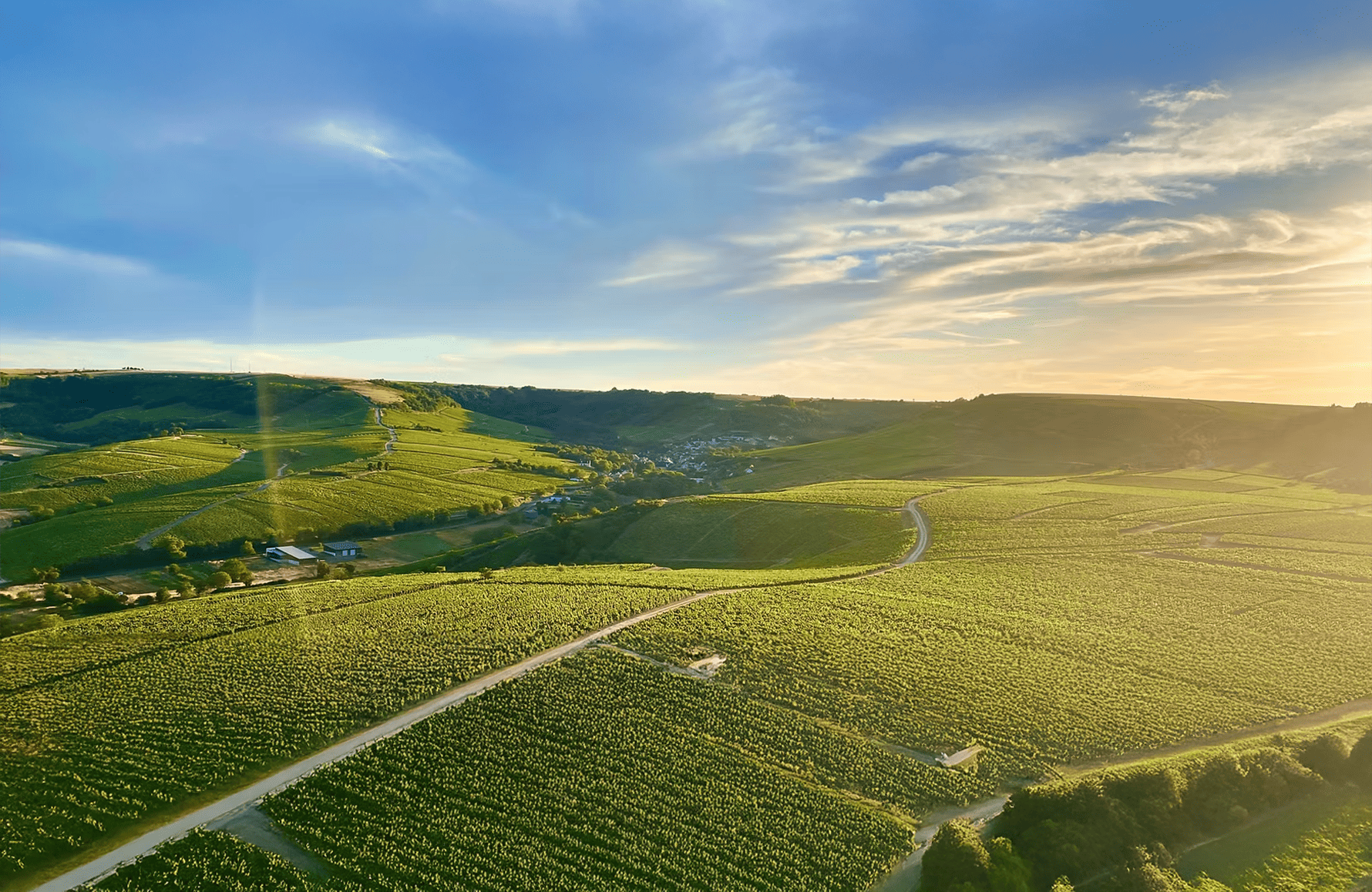 Vins Domaine Vincent Delaporte et Fils