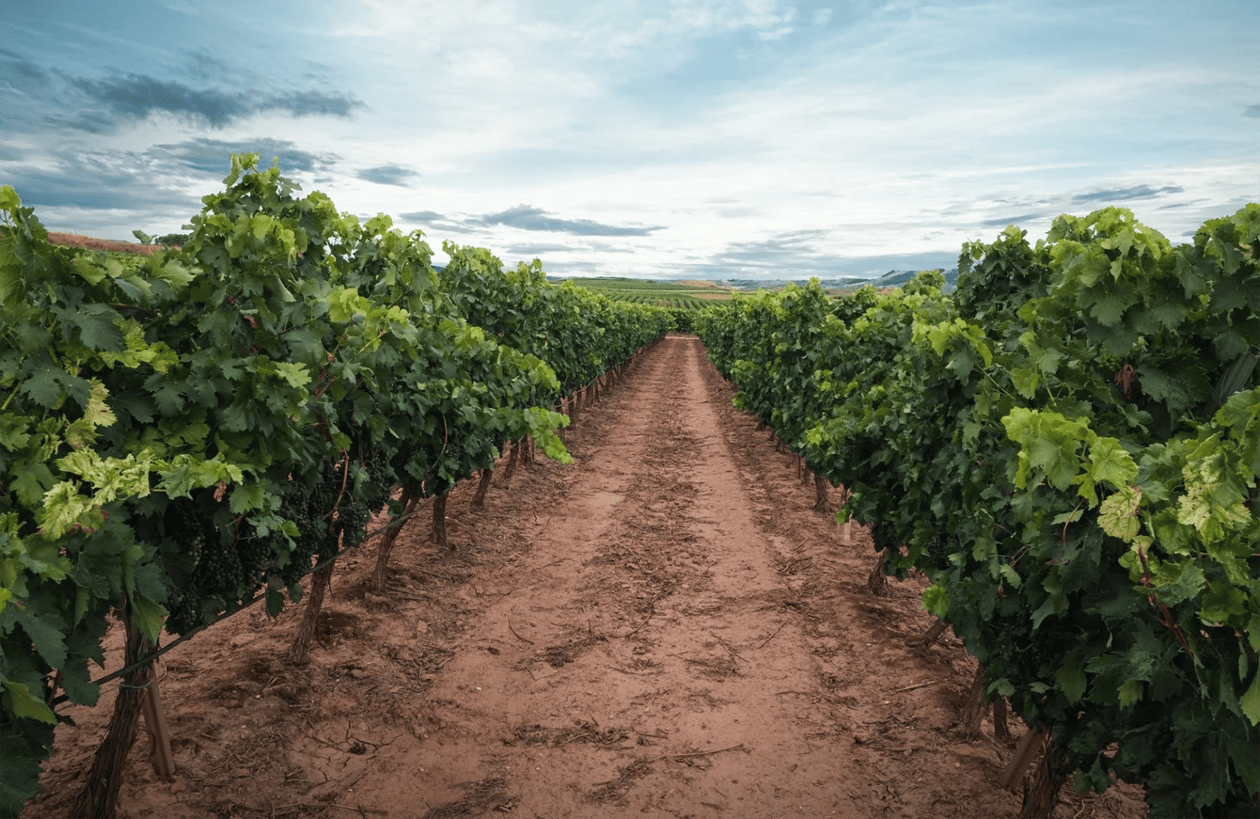 l’histoire du Domaine Gallet