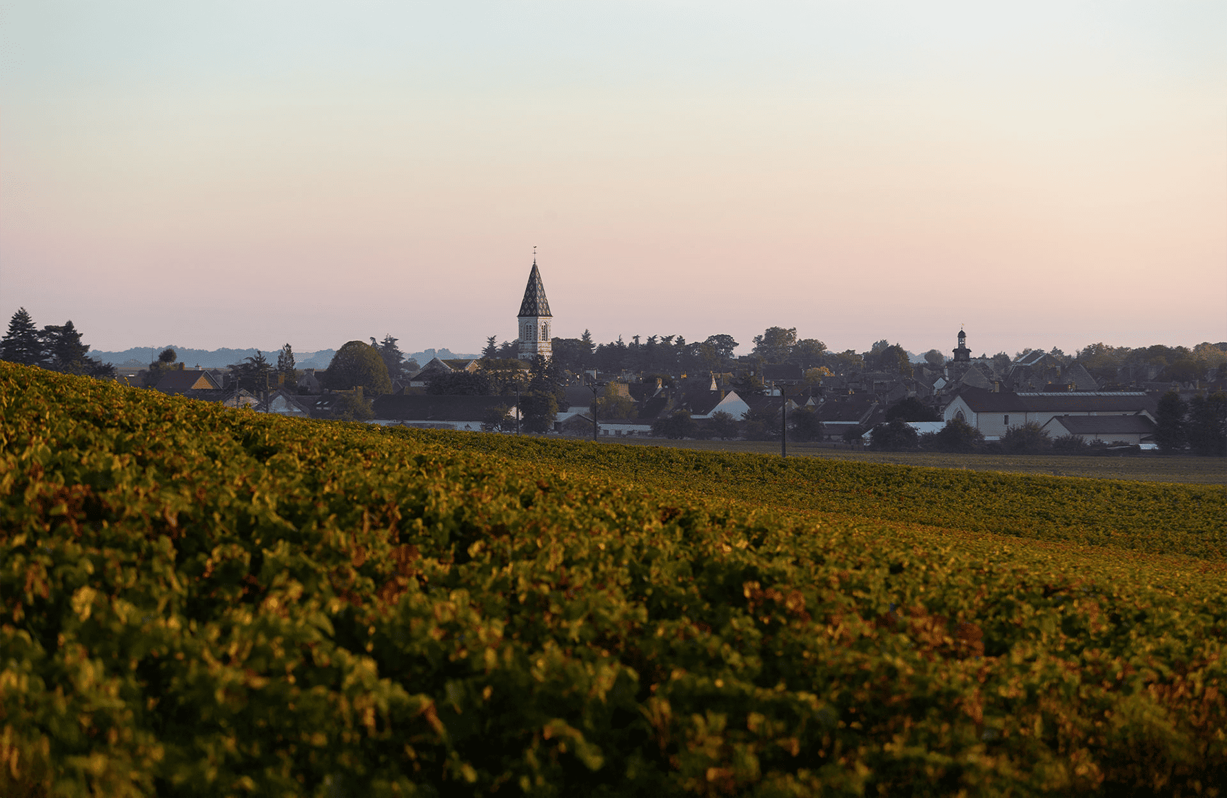 Vins Domaine Henri Gouges
