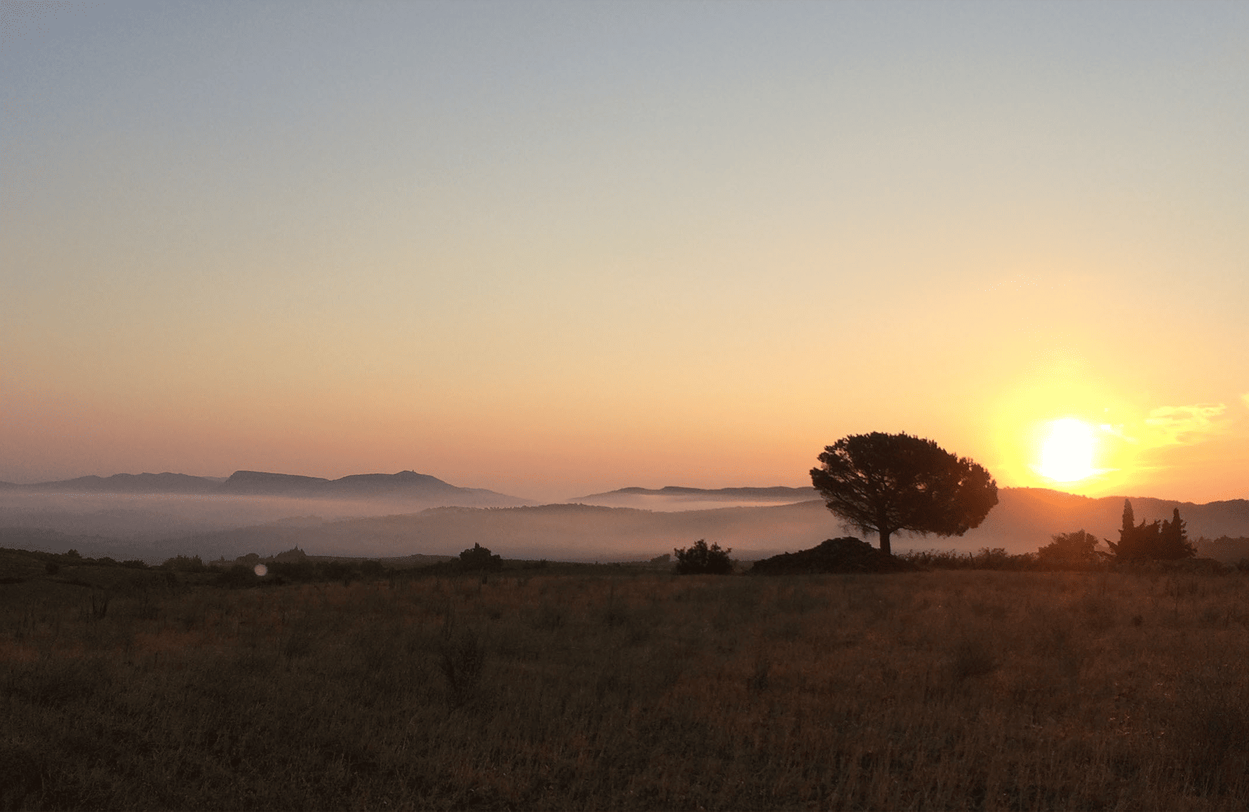 Vins Domaine Le Roc Des Anges