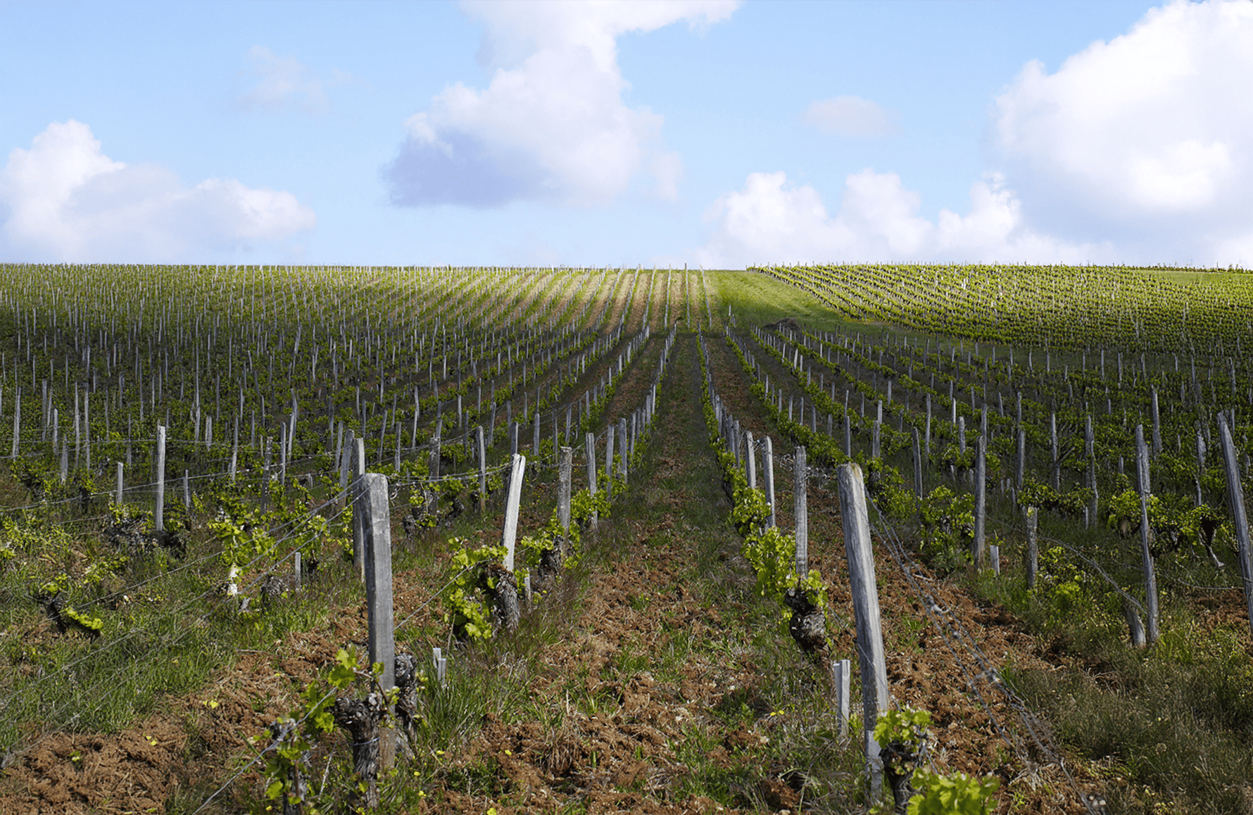 Vins Domaine Philippe Gilbert