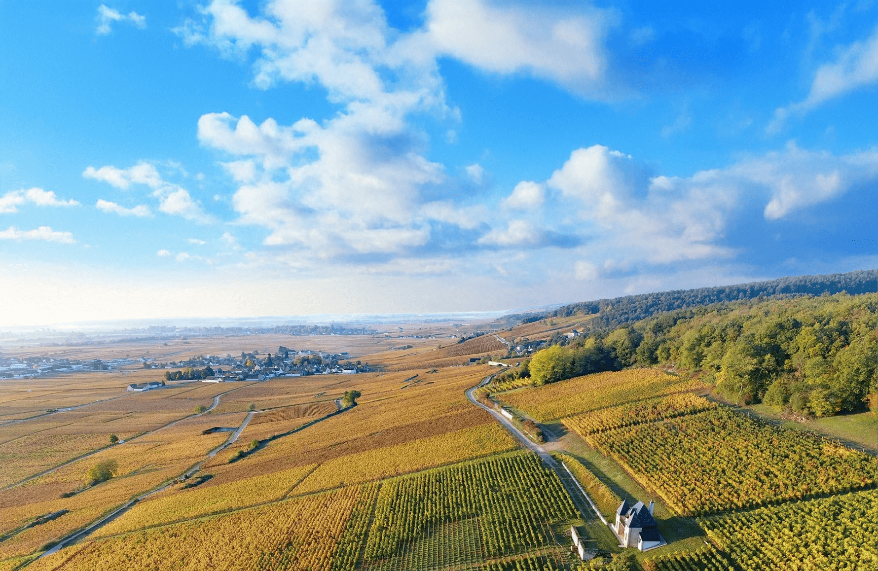 l’histoire du Domaine Ponsot