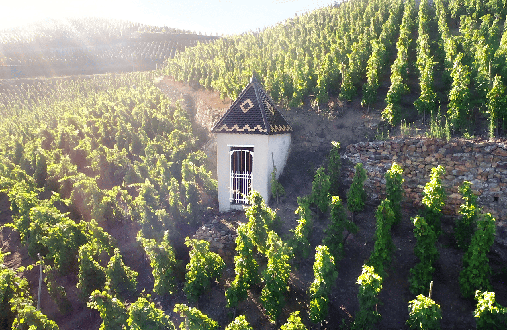 Vins Domaine Rostaing