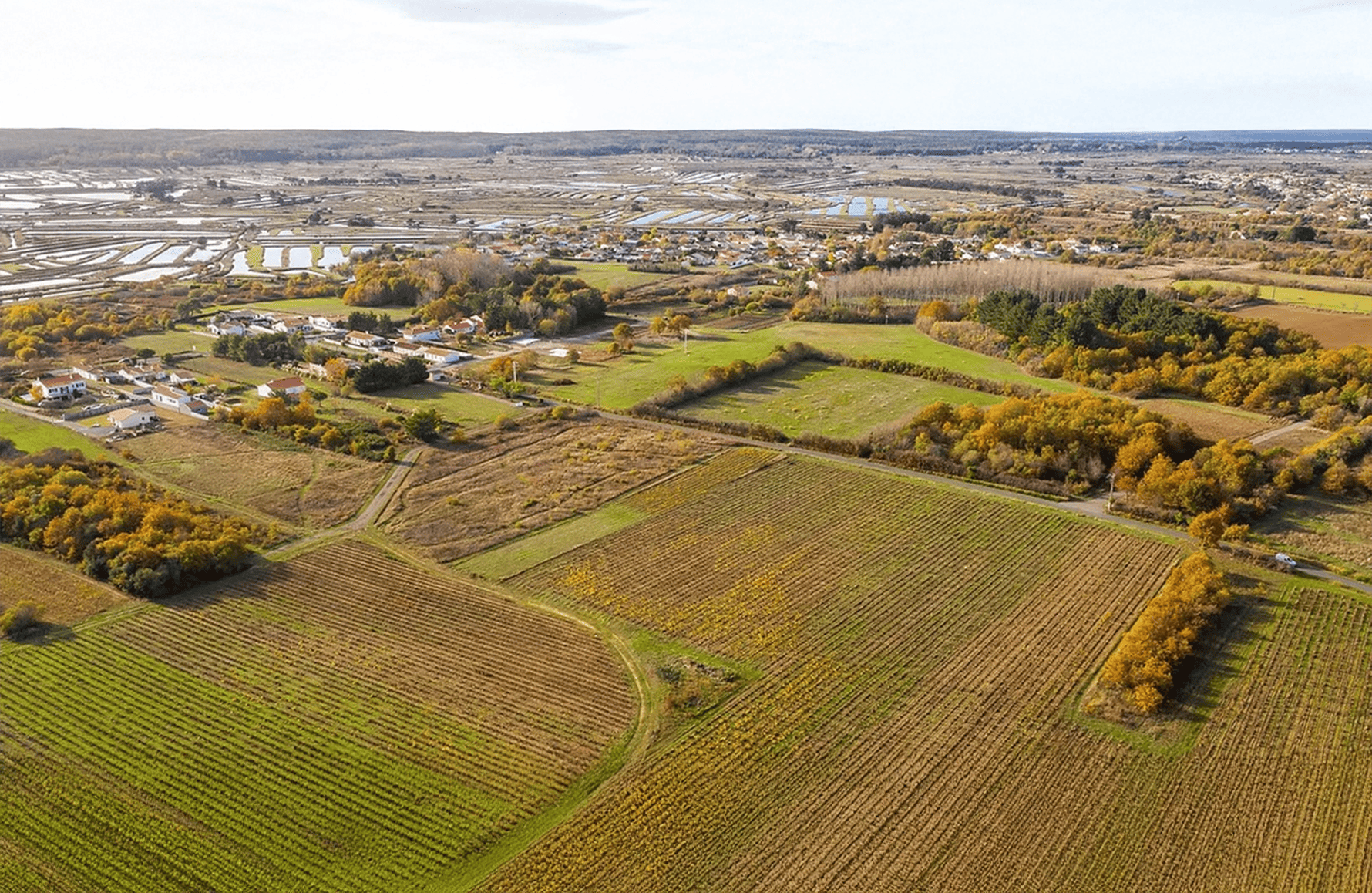l’histoire du Domaine Saint-Nicolas