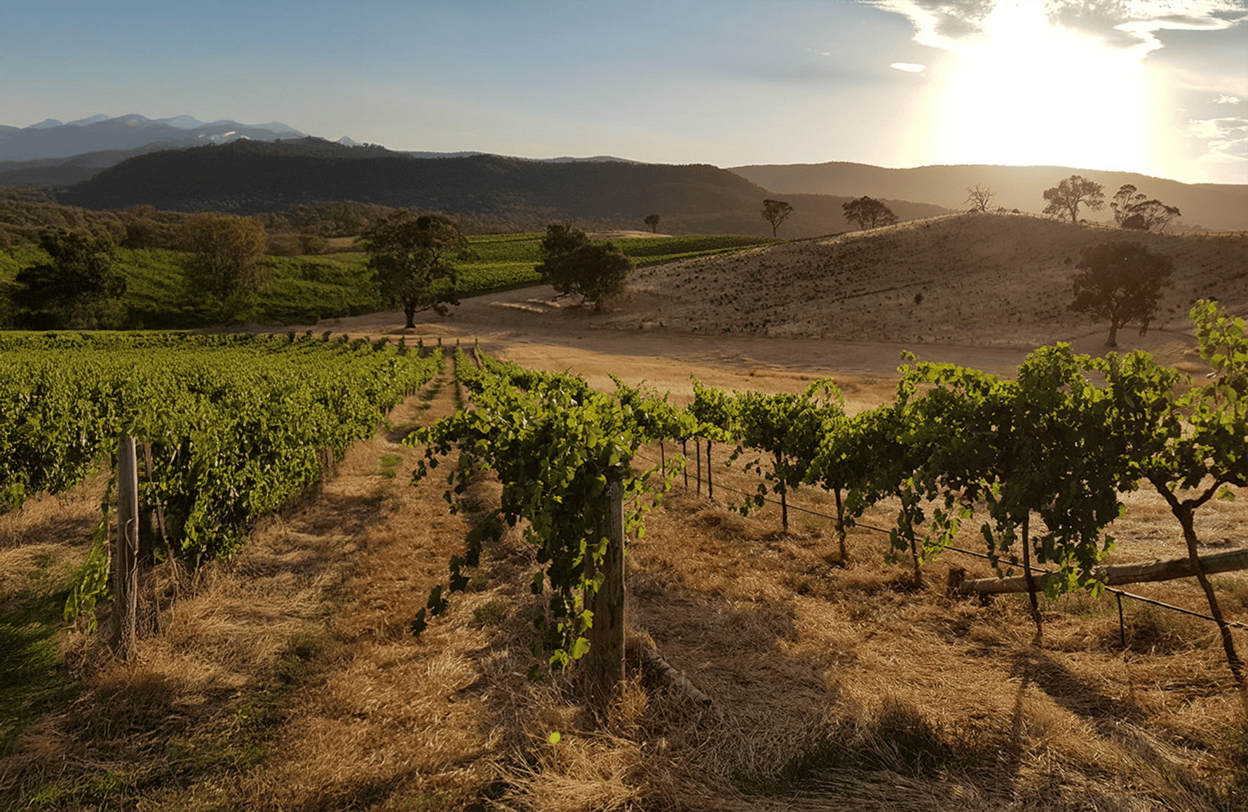 l’histoire du Dos Lusiadas - Portugal