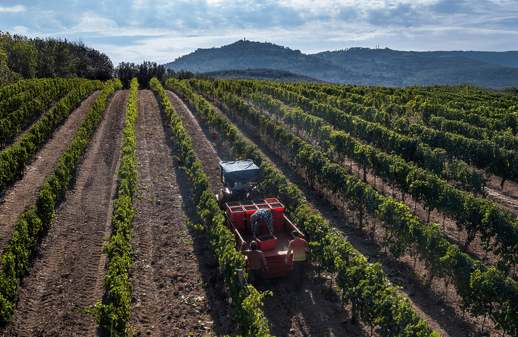 l’histoire du Il Marroneto - Italie