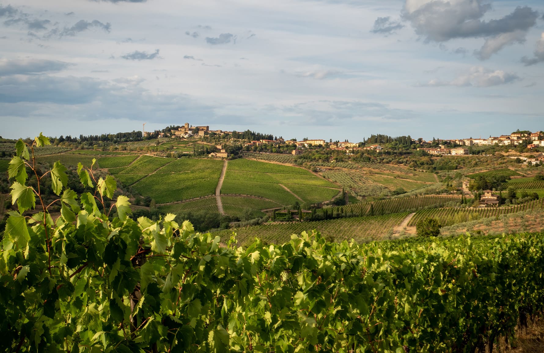 Vins Bibi Graetz - Italie