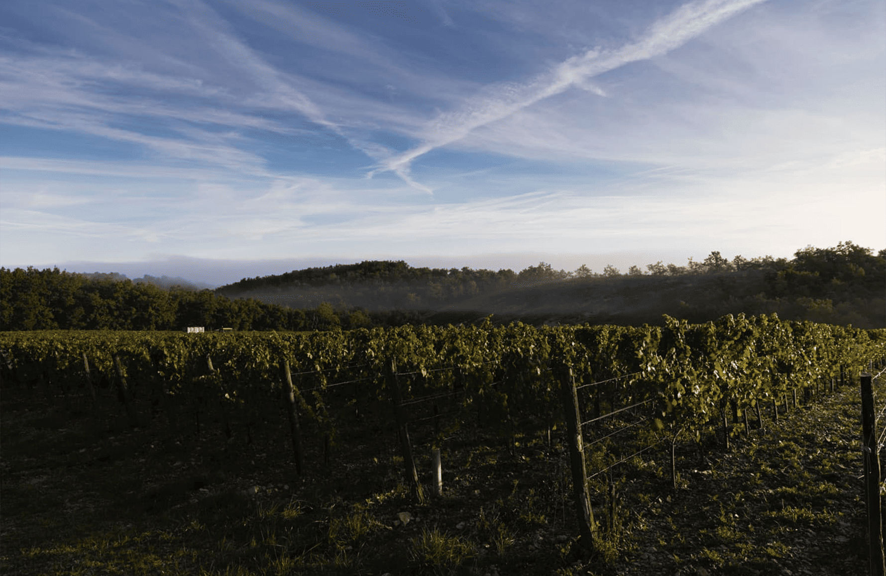 Vins Mas del Périé