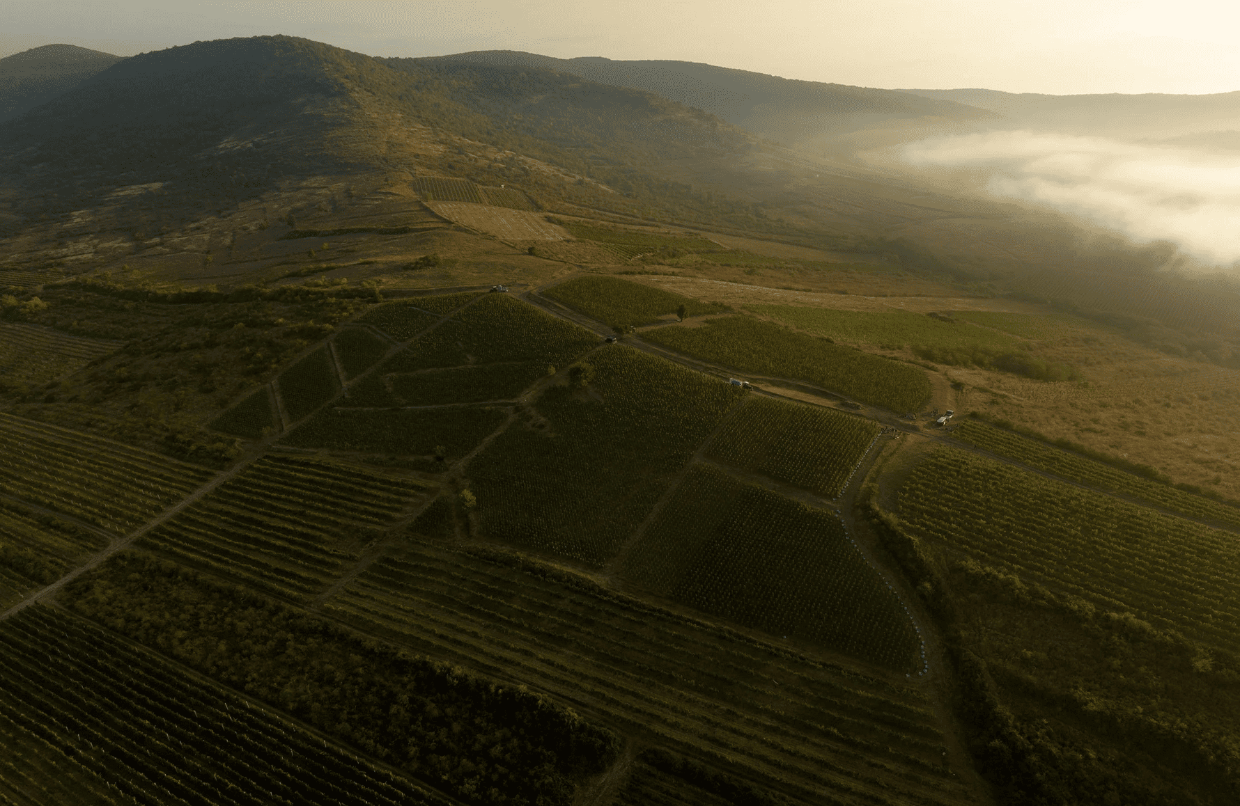 the story of Oremus - Hungary